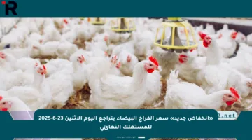 «انخفاض جديد» سعر الفراخ البيضاء يتراجع اليوم الاثنين 23-6-2025 للمستهلك النهائي